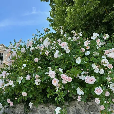 & Chateau De La Cote - Brantome Biras