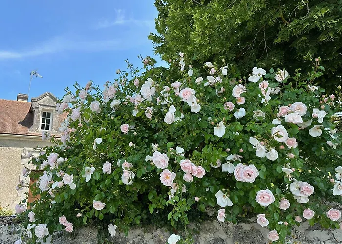 & Chateau De La Cote - Brantome Biras